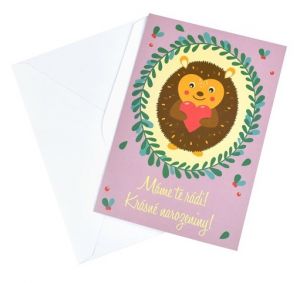 Přání k narozeninám, 13,5 x 19,5 cm, ježek