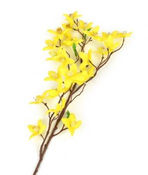 Větev zlatý déšť, 60 cm