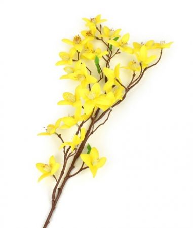 Větev zlatý déšť, 60 cm