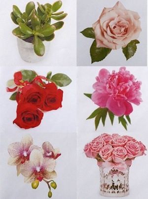 Obálka B6 kytky 100ks