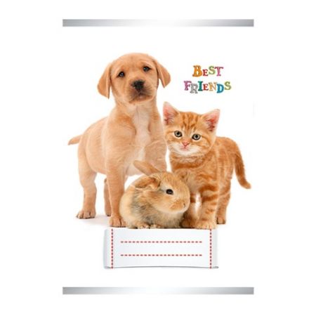 ARGUS Obal na sešity A5 Best Friends 16640259