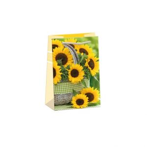 ARGUS Dárková papírová taška (7 x 10.8 cm) 07090132