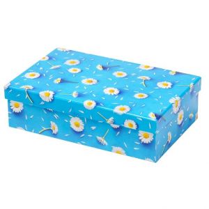 ARGUS Dárková krabice 25400155