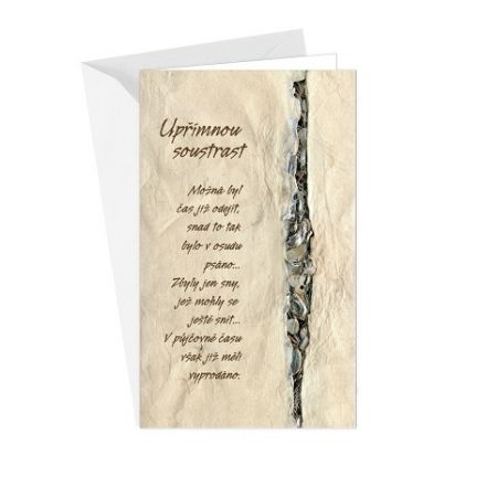 ARGUS Kondolence Úpřimná soustrast 14-051c