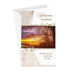 ARGUS Kondolence Úpřimná soustrast 14-627c