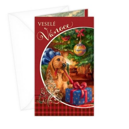 ARGUS Vánoční přání 11-6230-2stc