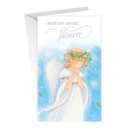 ARGUS Vánoční přání s kapsou na peníze 11-6400c