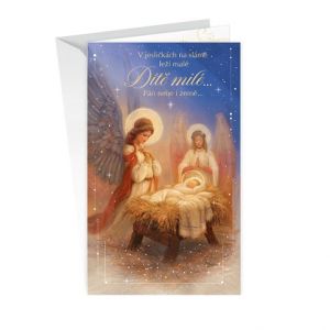 ARGUS Vánoční přání 11-6434c