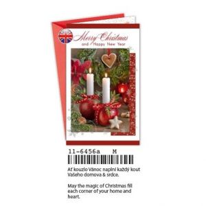ARGUS Vánoční přání EN 11-6456a