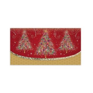 ARGUS Obálka na voucher vánoční 91-6007