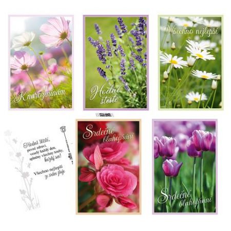 ARGUS Pohlednice k narozeninám,k svátkúm 06150581-c