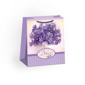 ARGUS Dárková papírová taška (19 x 23 cm) 07460509c