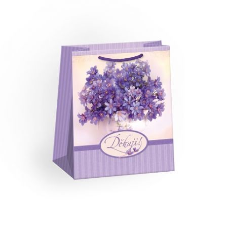 ARGUS Dárková papírová taška (19 x 23 cm) 07460509c