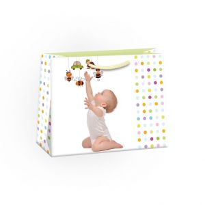 ARGUS Dárková papírová taška (30 x 23 cm) 07670608h