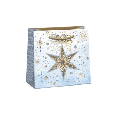 ARGUS Dárková papírová taška T2L (18 x 18 cm) 08290159