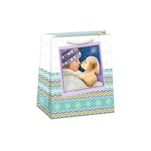 ARGUS Dárková papírová taška (19 x 23 cm) 08430409h