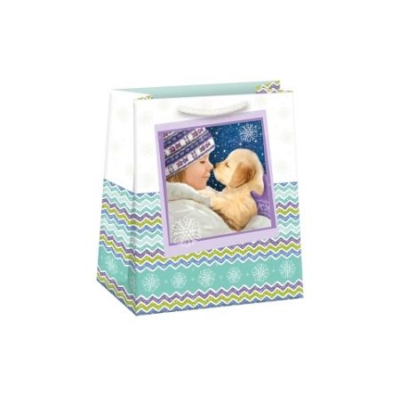 ARGUS Dárková papírová taška (19 x 23 cm) 08430409h