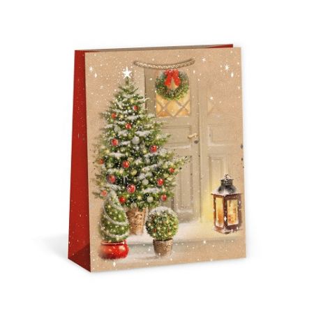 ARGUS Dárková papírová taška (18.3 x 24.3 cm) 08440074