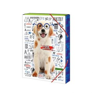 ARGUS Školní box na sešity A5 Little Genius 12410366