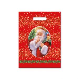 ARGUS Vánoční taška igelitová 27 x 36 cm 20131015