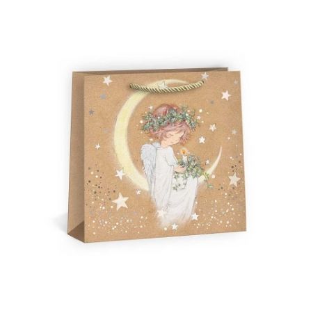 ARGUS Dárková papírová taška T8N (24 x 24 cm) 08450008