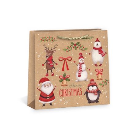 ARGUS Dárková papírová taška T7N (33 x 33 cm) 08550007