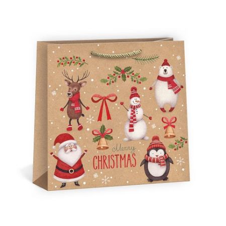 ARGUS Dárková papírová taška (38 x 38 cm) 08850007