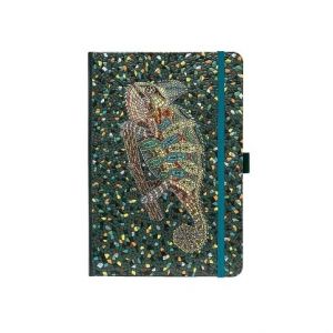 ARGUS Zápisník A5 chameleon, 13,4x19,6cm 14430003