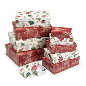 ARGUS Sada 10 ks dárkových krabic vánoční 25001172