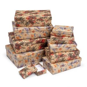 ARGUS Sada 10 ks dárkových krabic vánoční natur kraft 25001175