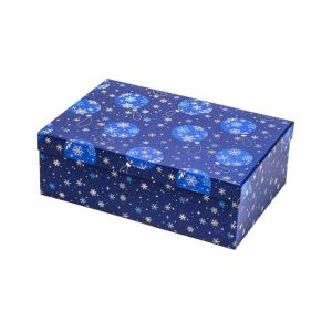 ARGUS Dárková krabice vánoční 25051180