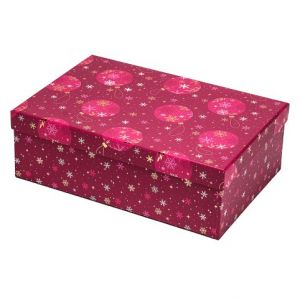 ARGUS Dárková krabice vánoční 25071179