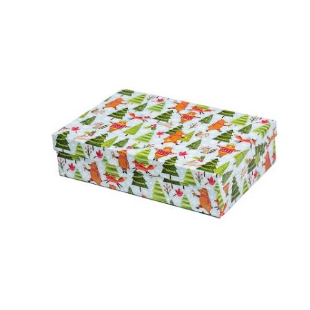 ARGUS Dárková krabice vánoční papír 25371173