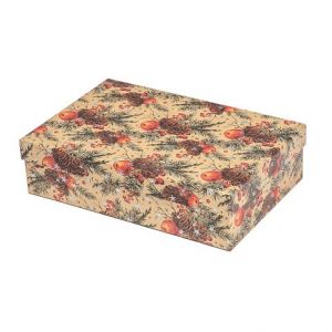 ARGUS Dárková krabice natur vánoční kraftový papír 25391175