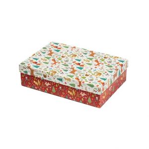 ARGUS Dárková krabice vánoční papír 25370170