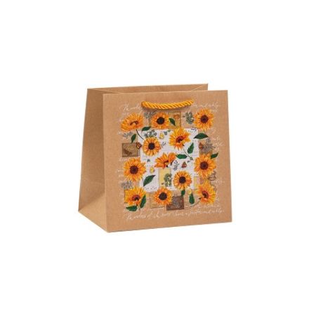 ARGUS Dárková papírová taška T5N (18 x 18 cm) 07200002