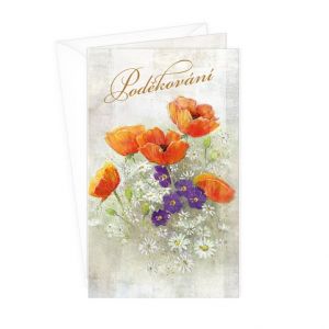 ARGUS Přání poděkování 15-6513cdek