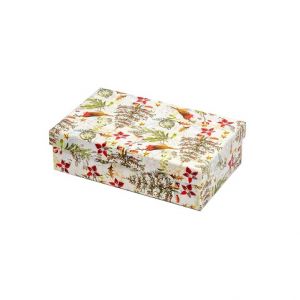 ARGUS Dárková krabice vánoční papír 25361187