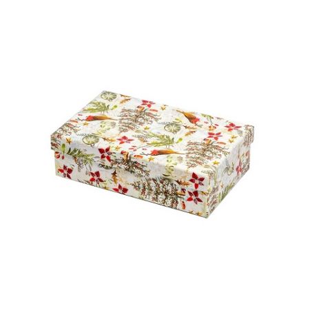 ARGUS Dárková krabice vánoční papír 25361187