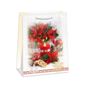 ARGUS Dárková papírová taška (29 x 38 cm) 08830464