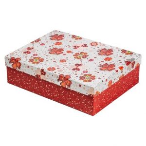 ARGUS Dárková krabice 21305194