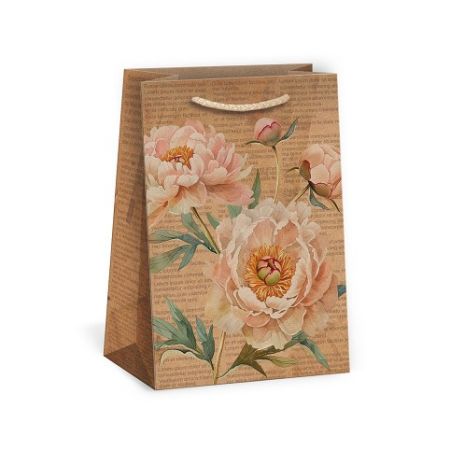 ARGUS Dárková papírová taška (13 x 18 cm) 07240141