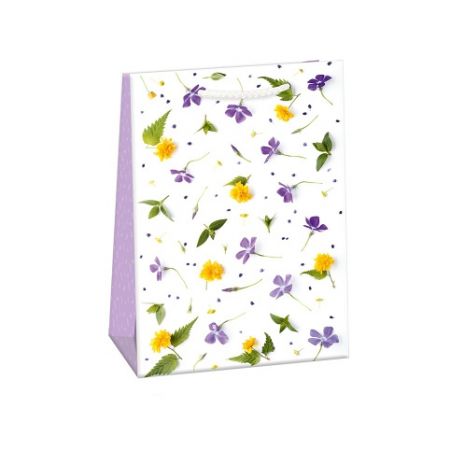 ARGUS Dárková papírová taška T5 (23 x 32 cm) 07570792