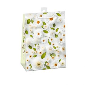 ARGUS Dárková papírová taška (23 x 32 cm) 07570793h