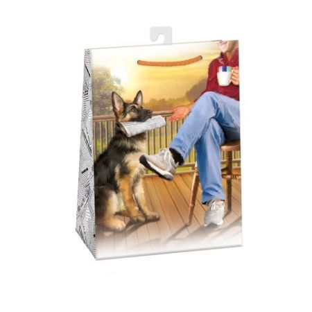 ARGUS Dárková papírová taška (23 x 32 cm) 07570798h