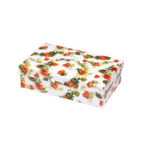 ARGUS Dárková krabice 25365191