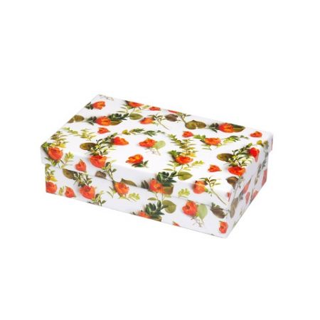 ARGUS Dárková krabice 25365191