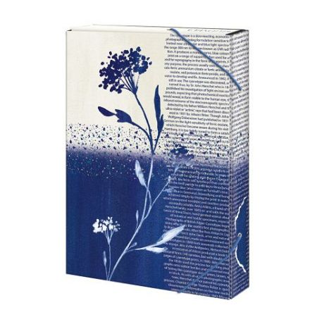 ARGUS Školní box na sešity A4 Simply 12310409