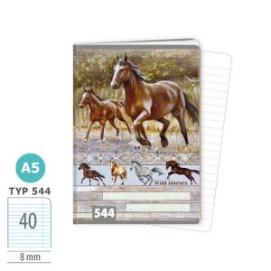 ARGUS Sešit A5 TYP 544 Wild horses 15920414