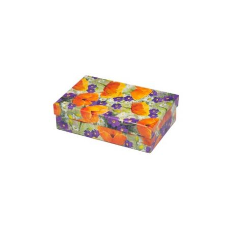 ARGUS Dárková krabice 25335192